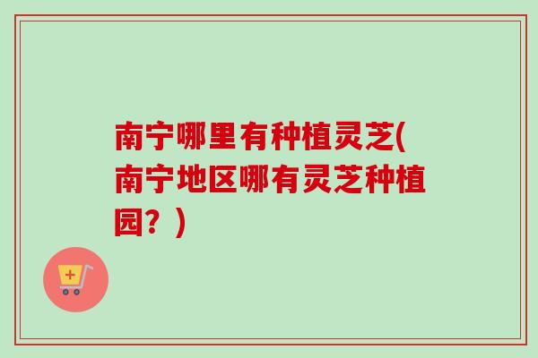 南宁哪里有种植灵芝(南宁地区哪有灵芝种植园?) 南宁哪里有种植灵芝(南宁地区哪有灵芝种植园?)