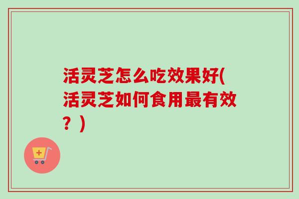 活灵芝怎么吃效果好(活灵芝如何食用最有效？)
