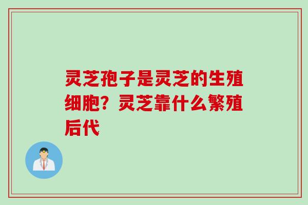 灵芝孢子是灵芝的生殖细胞？灵芝靠什么繁殖后代
