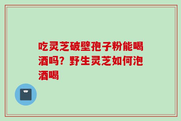 吃灵芝破壁孢子粉能喝酒吗？野生灵芝如何泡酒喝