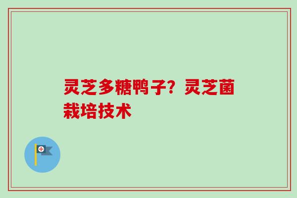 灵芝多糖鸭子？灵芝菌栽培技术