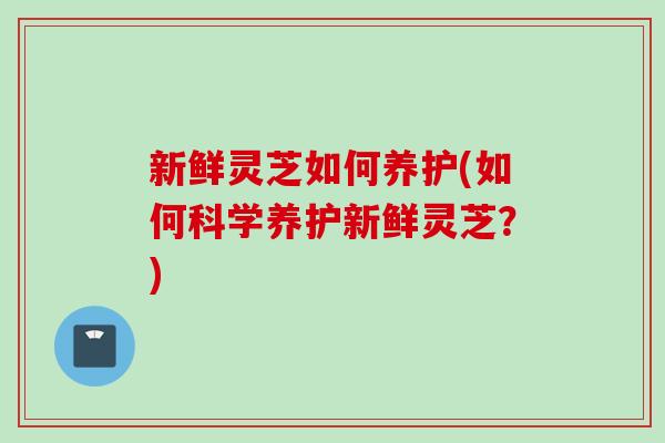 新鲜灵芝如何养护(如何科学养护新鲜灵芝？)