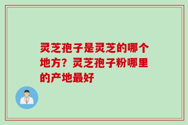 灵芝孢子是灵芝的哪个地方？灵芝孢子粉哪里的产地最好