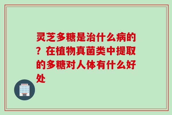 灵芝多糖是治什么病的？在植物真菌类中提取的多糖对人体有什么好处