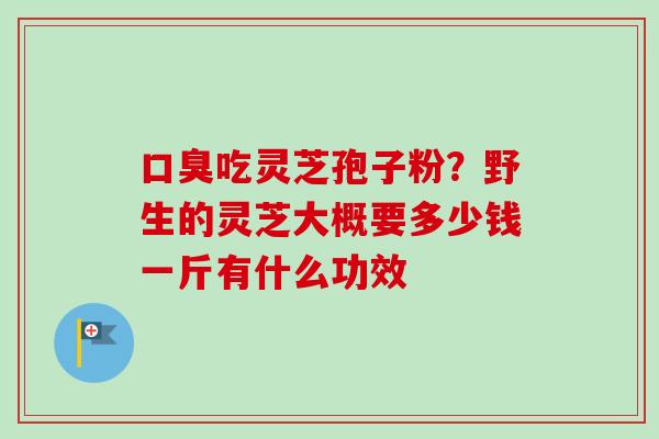 口臭吃灵芝孢子粉？野生的灵芝大概要多少钱一斤有什么功效
