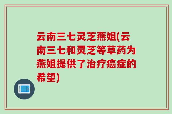 云南三七灵芝燕姐(云南三七和灵芝等草药为燕姐提供了治疗癌症的希望)