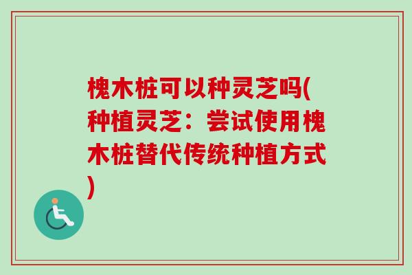 槐木桩可以种灵芝吗(种植灵芝：尝试使用槐木桩替代传统种植方式)