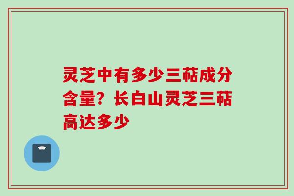 灵芝中有多少三萜成分含量？长白山灵芝三萜高达多少