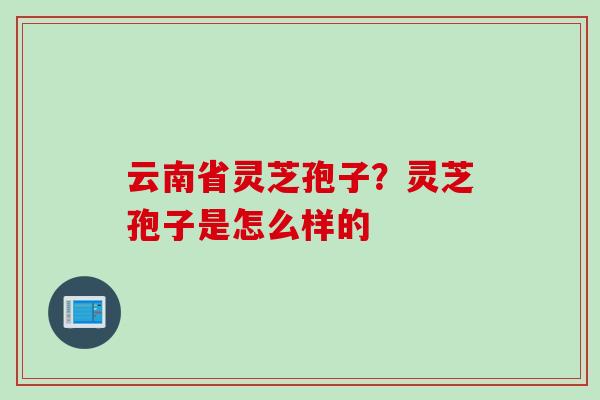 云南省灵芝孢子？灵芝孢子是怎么样的