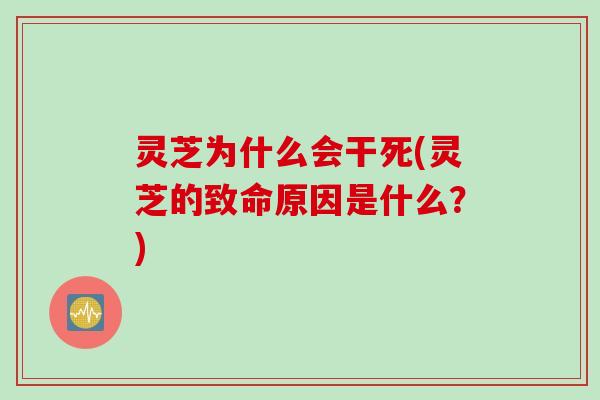 灵芝为什么会干死(灵芝的致命原因是什么？)