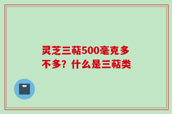 灵芝三萜500毫克多不多？什么是三萜类