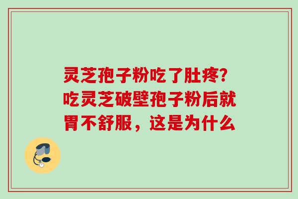 灵芝孢子粉吃了肚疼？吃灵芝破壁孢子粉后就胃不舒服，这是为什么
