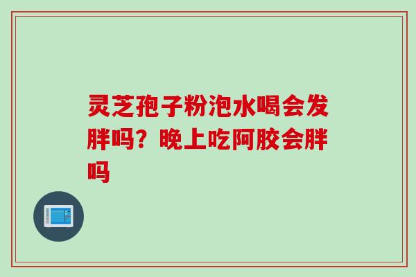 灵芝孢子粉泡水喝会发胖吗?晚上吃阿胶会胖吗 灵芝孢子粉泡水喝会发胖吗?晚上吃阿胶会胖吗
