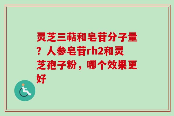 灵芝三萜和皂苷分子量？人参皂苷rh2和灵芝孢子粉，哪个效果更好