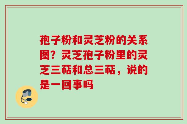 孢子粉和灵芝粉的关系图？灵芝孢子粉里的灵芝三萜和总三萜，说的是一回事吗