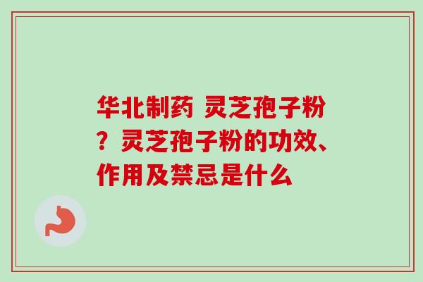 华北制药 灵芝孢子粉？灵芝孢子粉的功效、作用及禁忌是什么