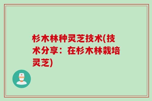 杉木林种灵芝技术(技术分享：在杉木林栽培灵芝)