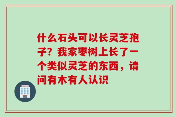 什么石头可以长灵芝孢子？我家枣树上长了一个类似灵芝的东西，请问有木有人认识