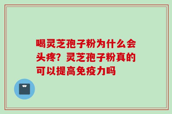 喝灵芝孢子粉为什么会头疼？灵芝孢子粉真的可以提高免疫力吗