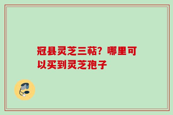冠县灵芝三萜？哪里可以买到灵芝孢子