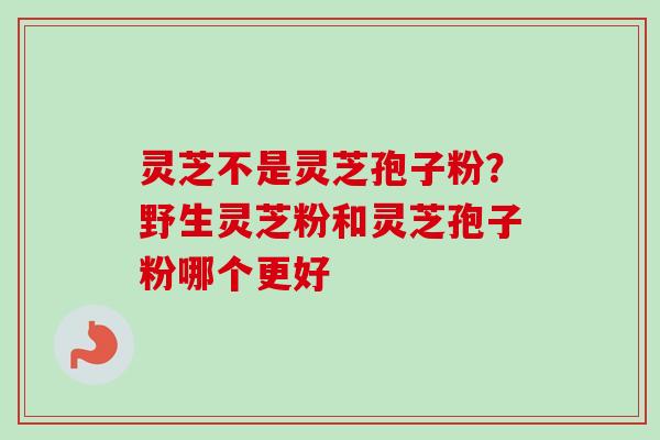 灵芝不是灵芝孢子粉？野生灵芝粉和灵芝孢子粉哪个更好