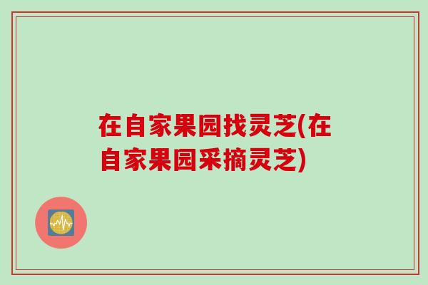 在自家果园找灵芝(在自家果园采摘灵芝)