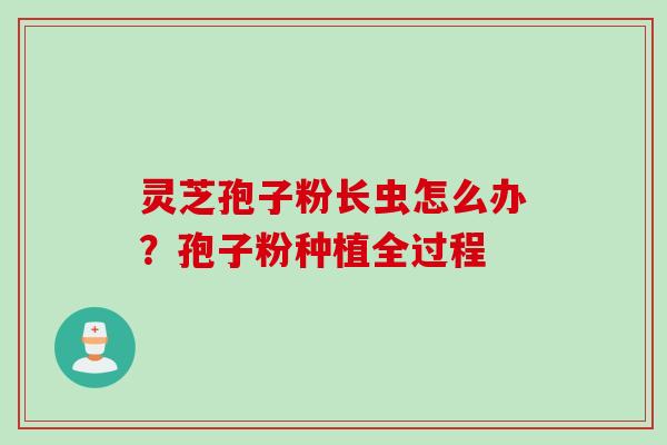 灵芝孢子粉长虫怎么办？孢子粉种植全过程