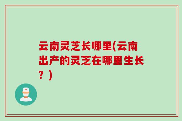 云南灵芝长哪里(云南出产的灵芝在哪里生长？)