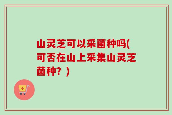 山灵芝可以采菌种吗(可否在山上采集山灵芝菌种？)