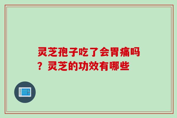 灵芝孢子吃了会胃痛吗？灵芝的功效有哪些