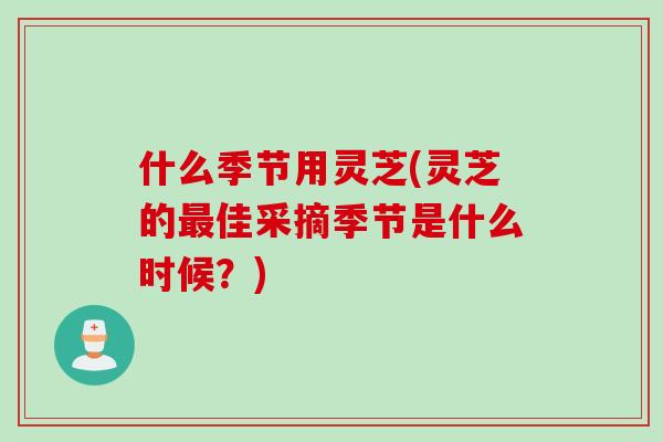 什么季节用灵芝(灵芝的最佳采摘季节是什么时候？)