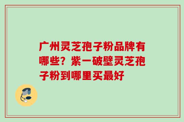 广州灵芝孢子粉品牌有哪些？紫一破壁灵芝孢子粉到哪里买最好