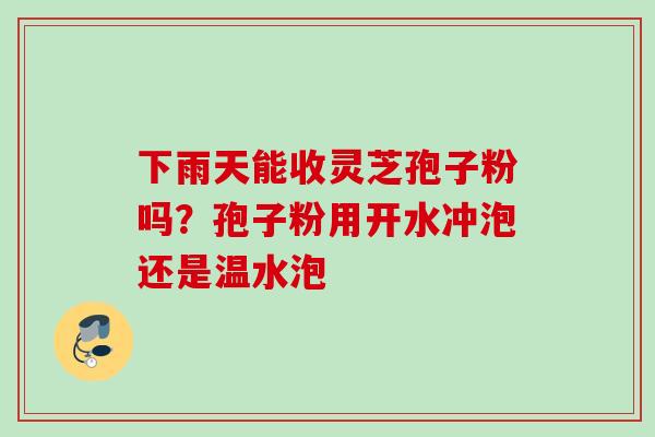 下雨天能收灵芝孢子粉吗?孢子粉用开水冲泡还是温水泡 下雨天能收灵芝孢子粉吗?孢子粉用开水冲泡还是温水泡
