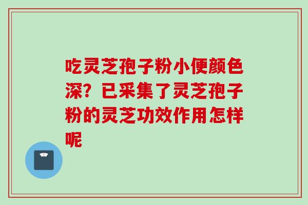 吃灵芝孢子粉小便颜色深？已采集了灵芝孢子粉的灵芝功效作用怎样呢