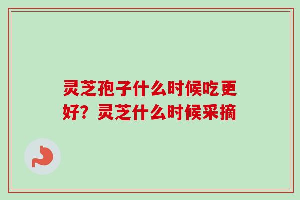 灵芝孢子什么时候吃更好？灵芝什么时候采摘