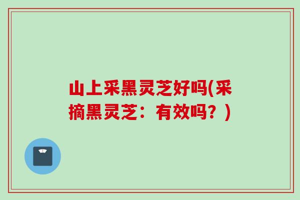 山上采黑灵芝好吗(采摘黑灵芝：有效吗？)