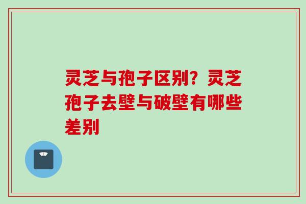 灵芝与孢子区别？灵芝孢子去壁与破壁有哪些差别