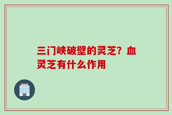 三门峡破壁的灵芝？血灵芝有什么作用