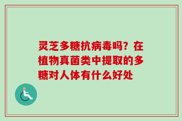 灵芝多糖抗吗?在植物真菌类中提取的多糖对人体有什么好处 灵芝多糖抗吗?在植物真菌类中提取的多糖对人体有什么好处