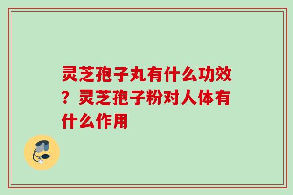 灵芝孢子丸有什么功效?灵芝孢子粉对人体有什么作用 灵芝孢子丸有什么功效?灵芝孢子粉对人体有什么作用