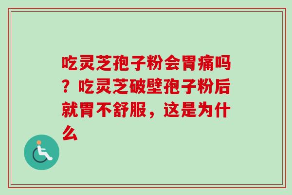 吃灵芝孢子粉会胃痛吗？吃灵芝破壁孢子粉后就胃不舒服，这是为什么