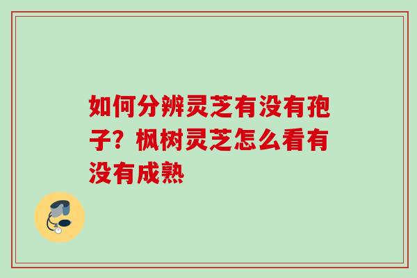 如何分辨灵芝有没有孢子？枫树灵芝怎么看有没有成熟