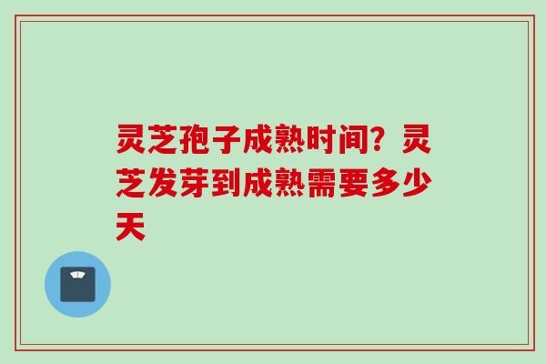灵芝孢子成熟时间？灵芝发芽到成熟需要多少天