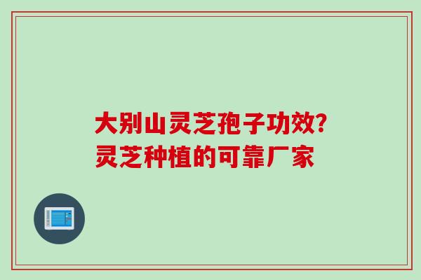 大别山灵芝孢子功效？灵芝种植的可靠厂家