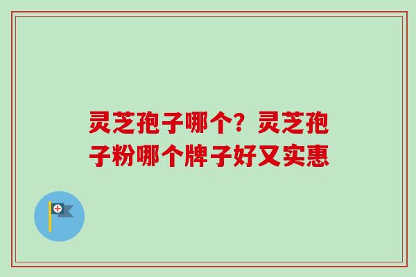 灵芝孢子哪个？灵芝孢子粉哪个牌子好又实惠