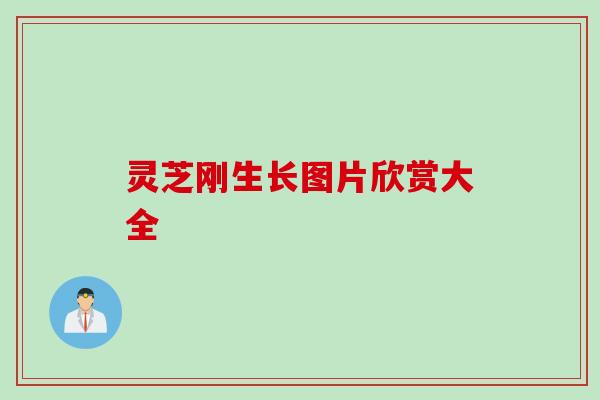 灵芝刚生长图片欣赏大全
