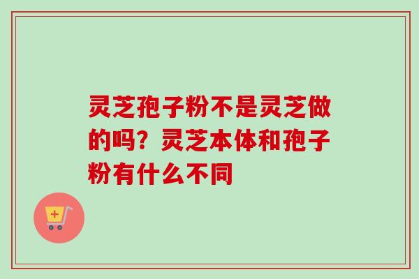 灵芝孢子粉不是灵芝做的吗？灵芝本体和孢子粉有什么不同