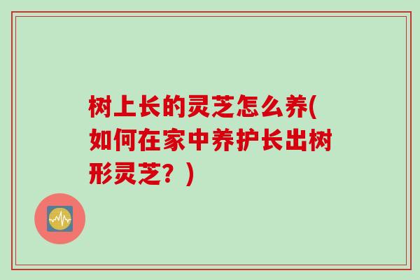 树上长的灵芝怎么养(如何在家中养护长出树形灵芝？)