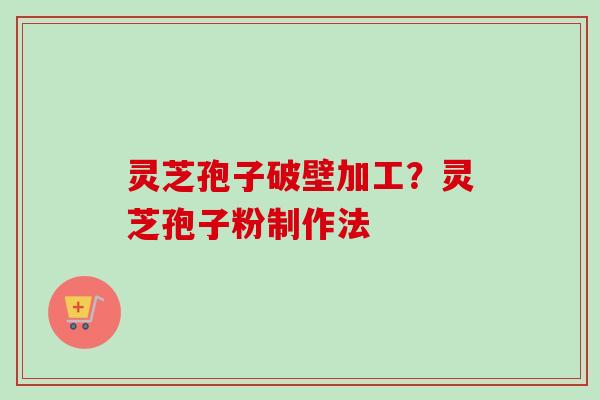 灵芝孢子破壁加工？灵芝孢子粉制作法