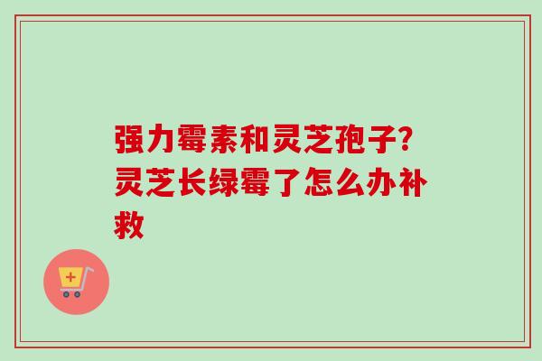 强力霉素和灵芝孢子？灵芝长绿霉了怎么办补救